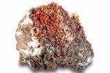 Ruby Red Vanadinite Crystals on Black & White Barite - Top Quality #253388-1